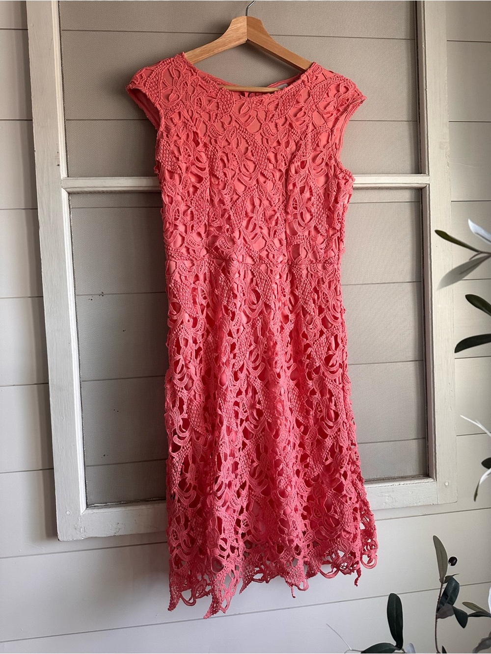 Coral Cap-Sleeve Lace Overlay Dress